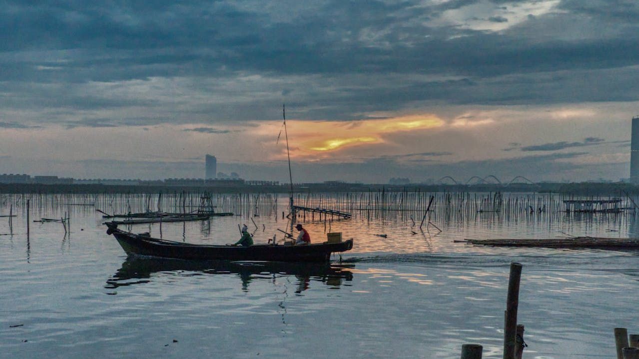 Voblere pe apă rece pentru pescarii gospodari